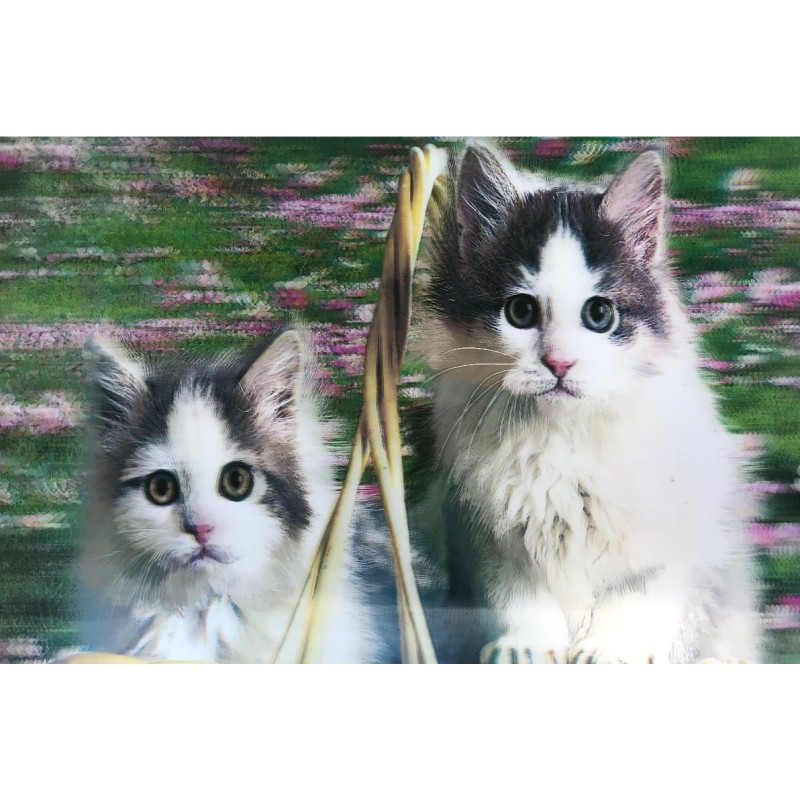 3 Boyutlu Resim Sevimli Kediler İkili Kedi Resmi Tablosu 40x60 cm