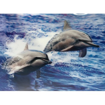 3 Boyutlu Resim Sevimli Yunuslar İkili Yunus Resmi Tablosu 30x40 cm